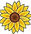 O5 Centre for Women and Children logo – a non-profit organization focused on child protection, body safety, and abuse prevent