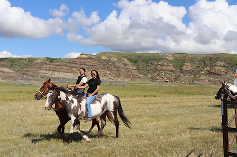 brockton-horsemanship-clinic.png