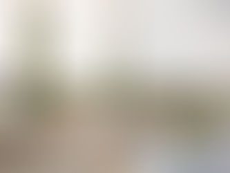 Event Decorator and Florist in Ashland, MA: Complete Guide