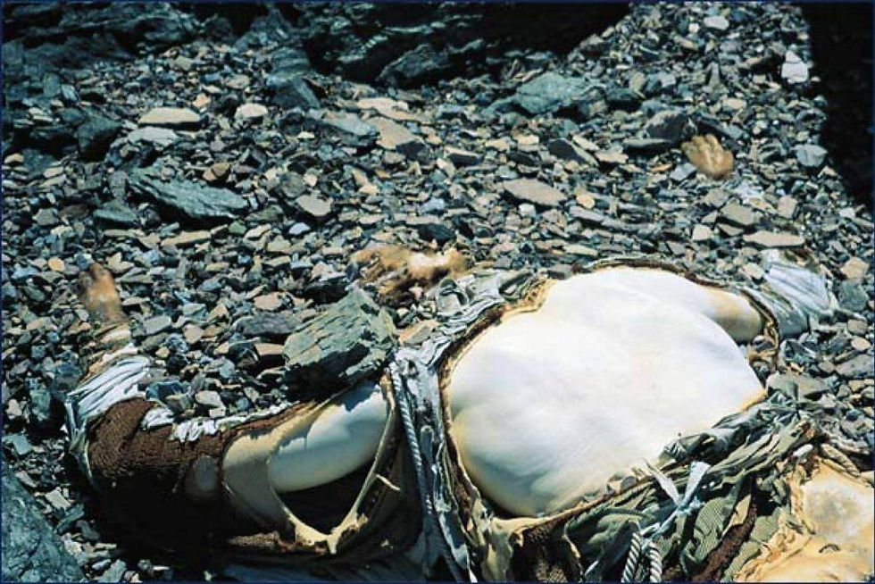 curiosity crime and cocktail time, real corpses, mummies, real mummies, preservation, embalming, natural embalming, george mallory