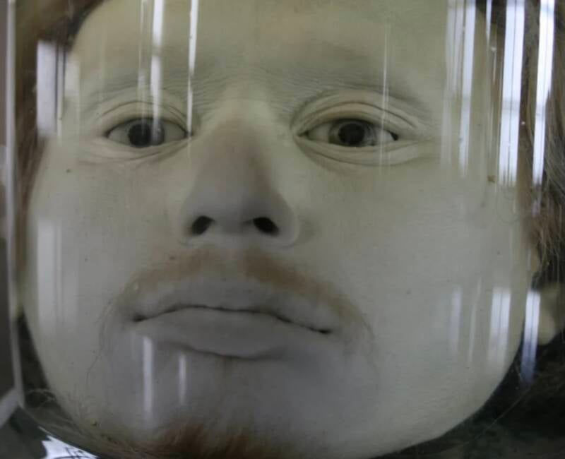 The Aqueduct Assassin The Story of Diogo Alves