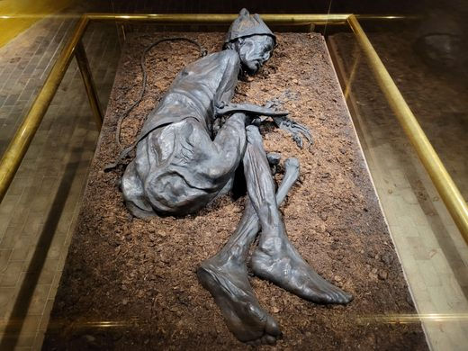 curiosity crime and cocktail time, real corpses, mummies, real mummies, preservation, embalming, natural embalming, tollund man