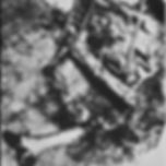 curiosity crime and cocktail time, spontaneous human combustion, mary reeser