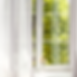 View through double glazed sash windows in to garden