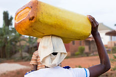 AdobeStock_190480390.jpeg