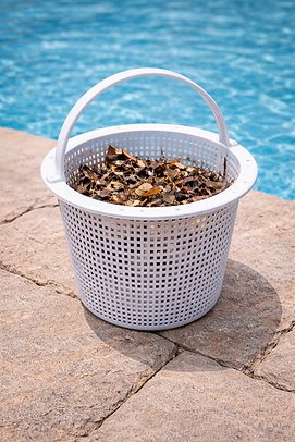 Pool Skimmer.png