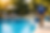 The Pool Crew.png