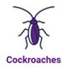 Cochroches.jpg