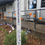 Thumbnail: Peace Poles - range in price from $230.00 AUD