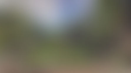 Parque Zoológico Arruda Câmara recebe a Febtur-PB