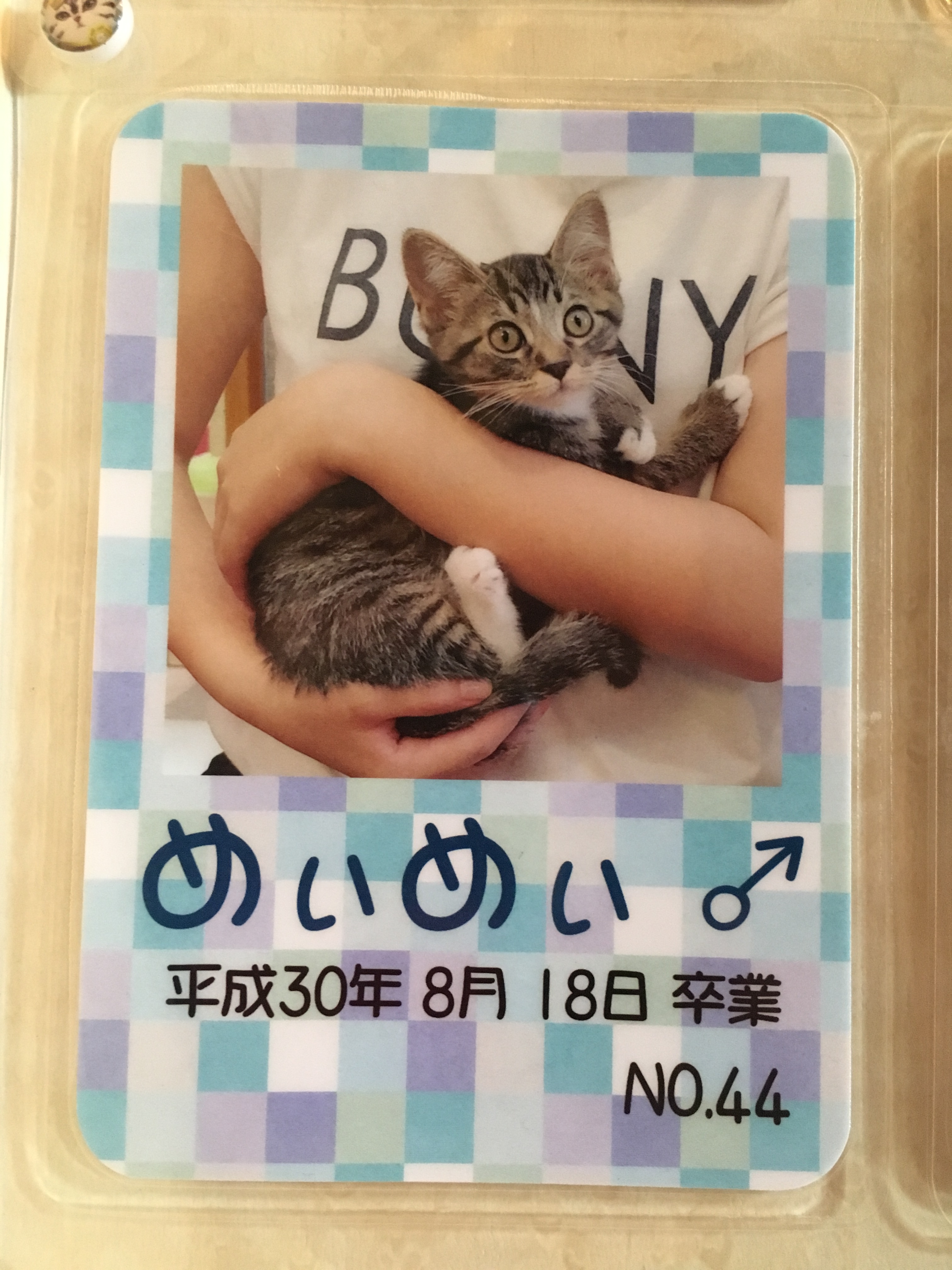 めいめい