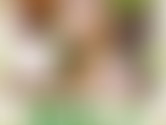 ぼすくん 卒業です!