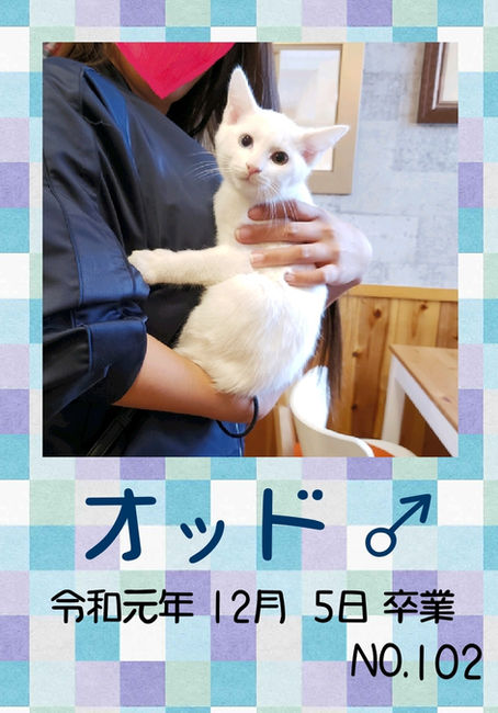 オッド 卒業です!