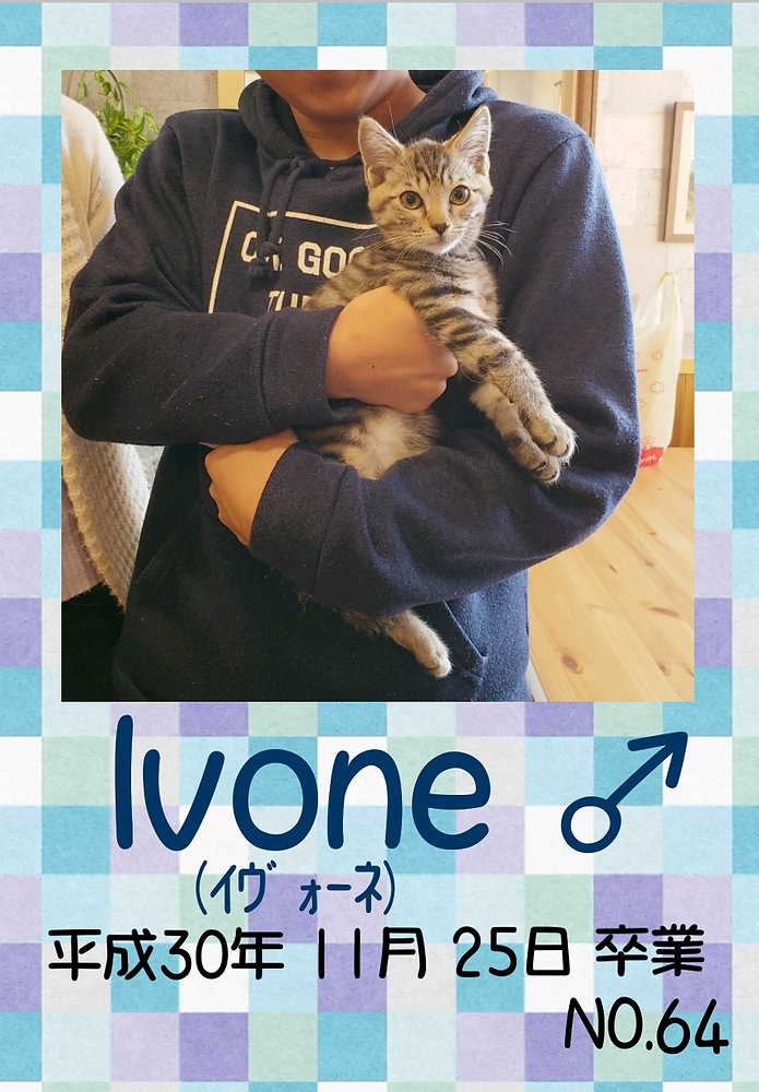 Ivone 卒業です！
