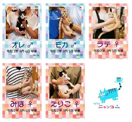 卒業致しました🐈