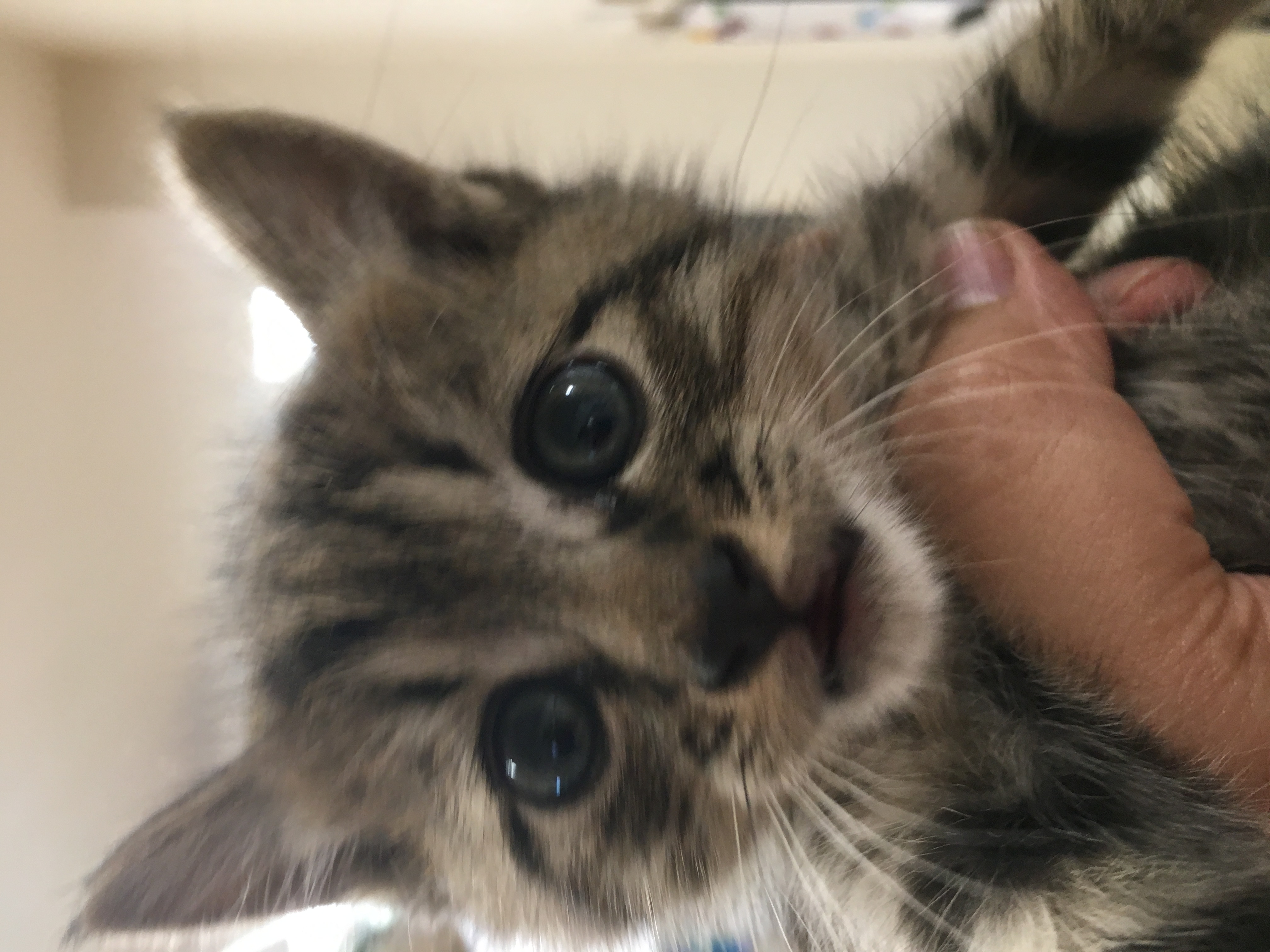 うに
