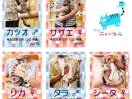 カツオ・サザエ・リカ・タラ・シータ 卒業です!