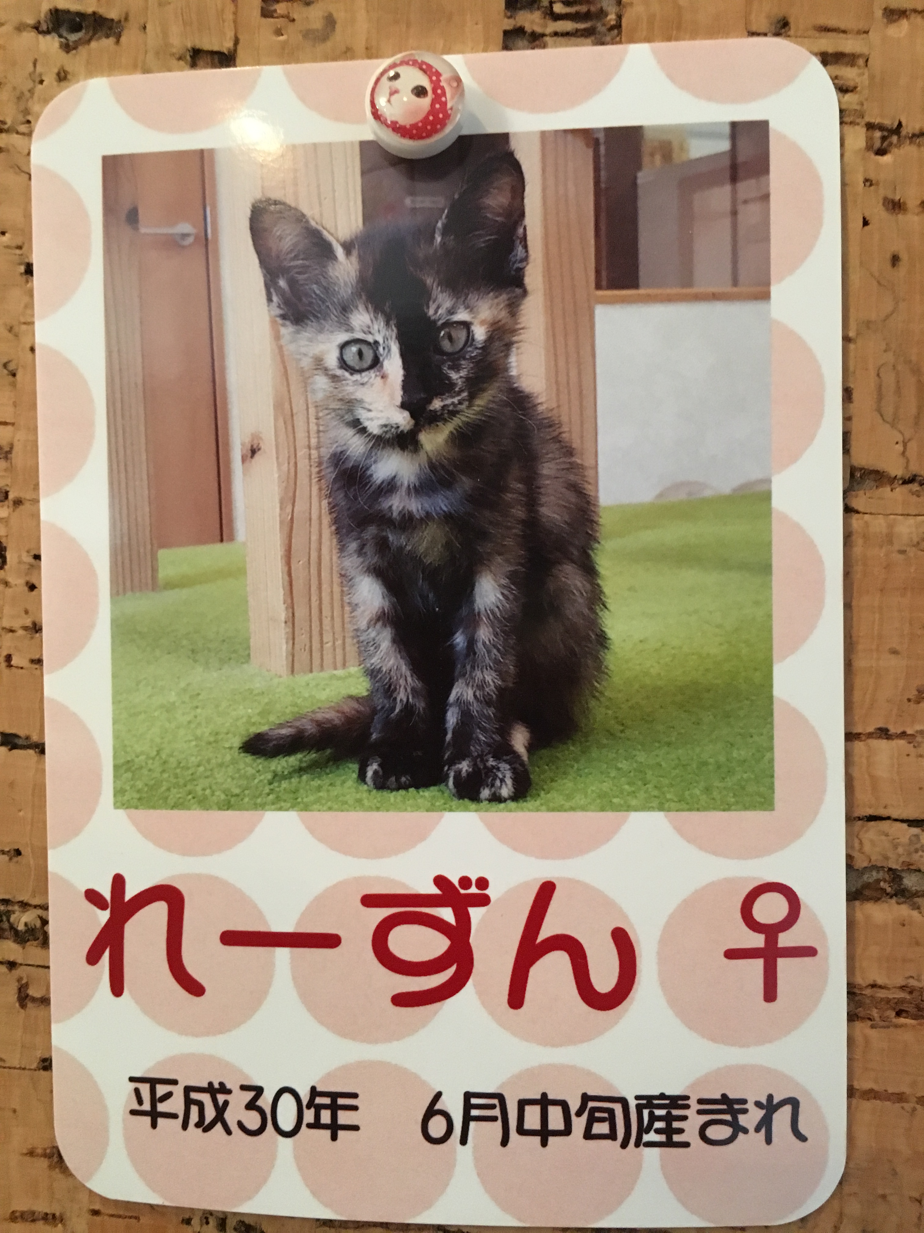 れーずん