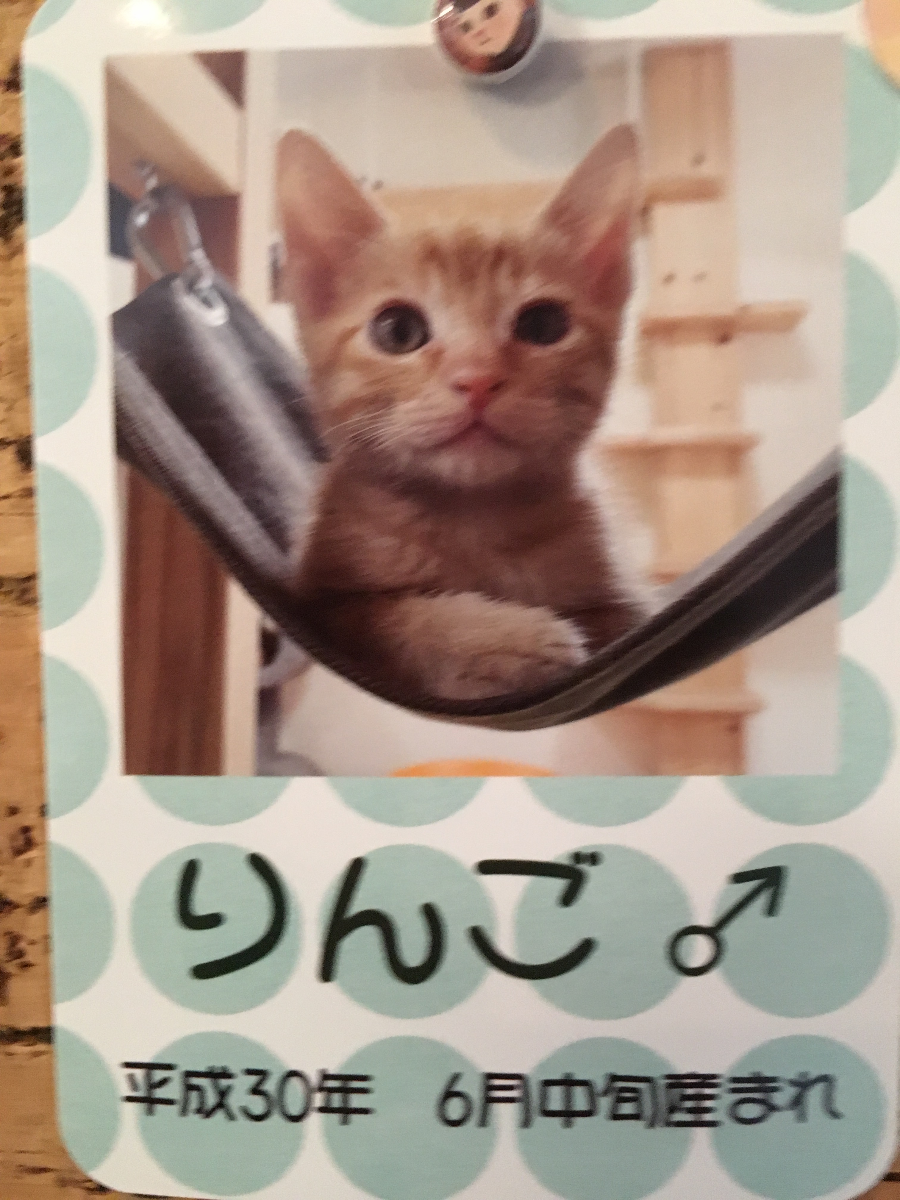りんご