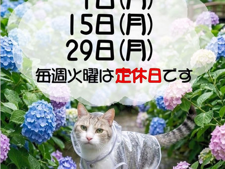 6月のお休みです💤