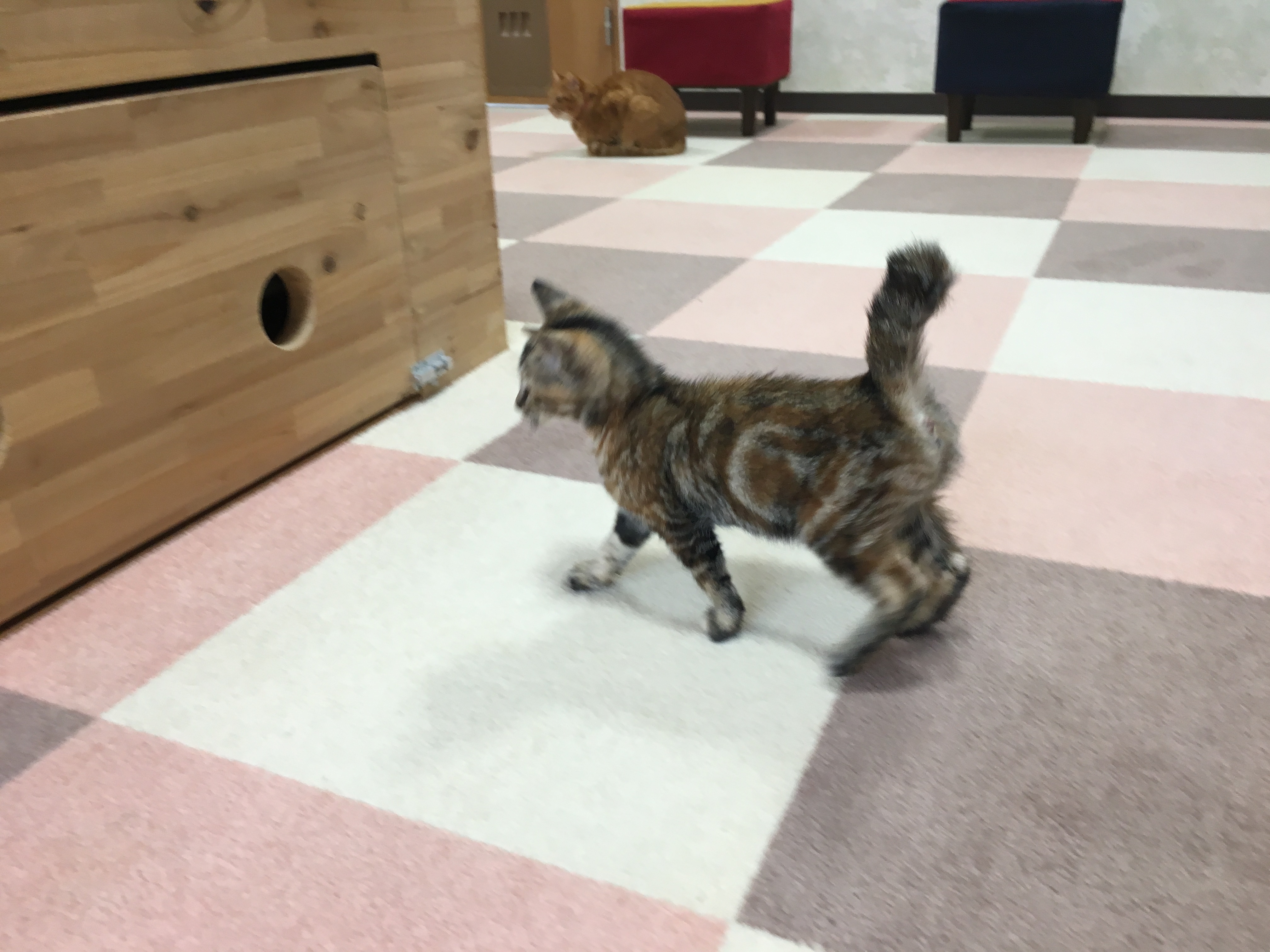 にぃな