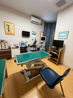 犬専用の診察室です。