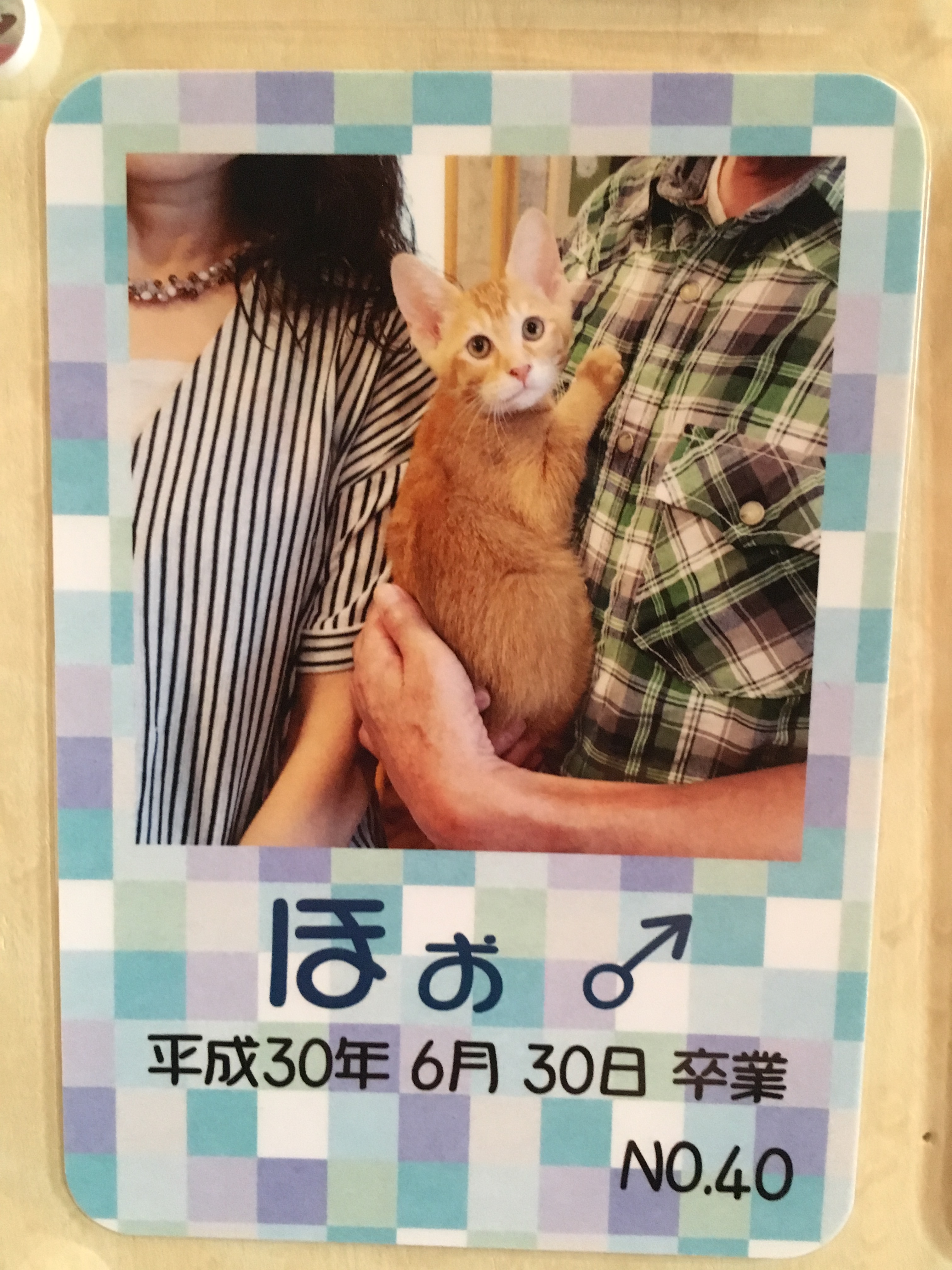 ほぉ
