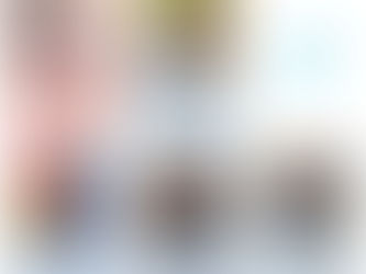 ヴェルカシリーズ 卒業報告です