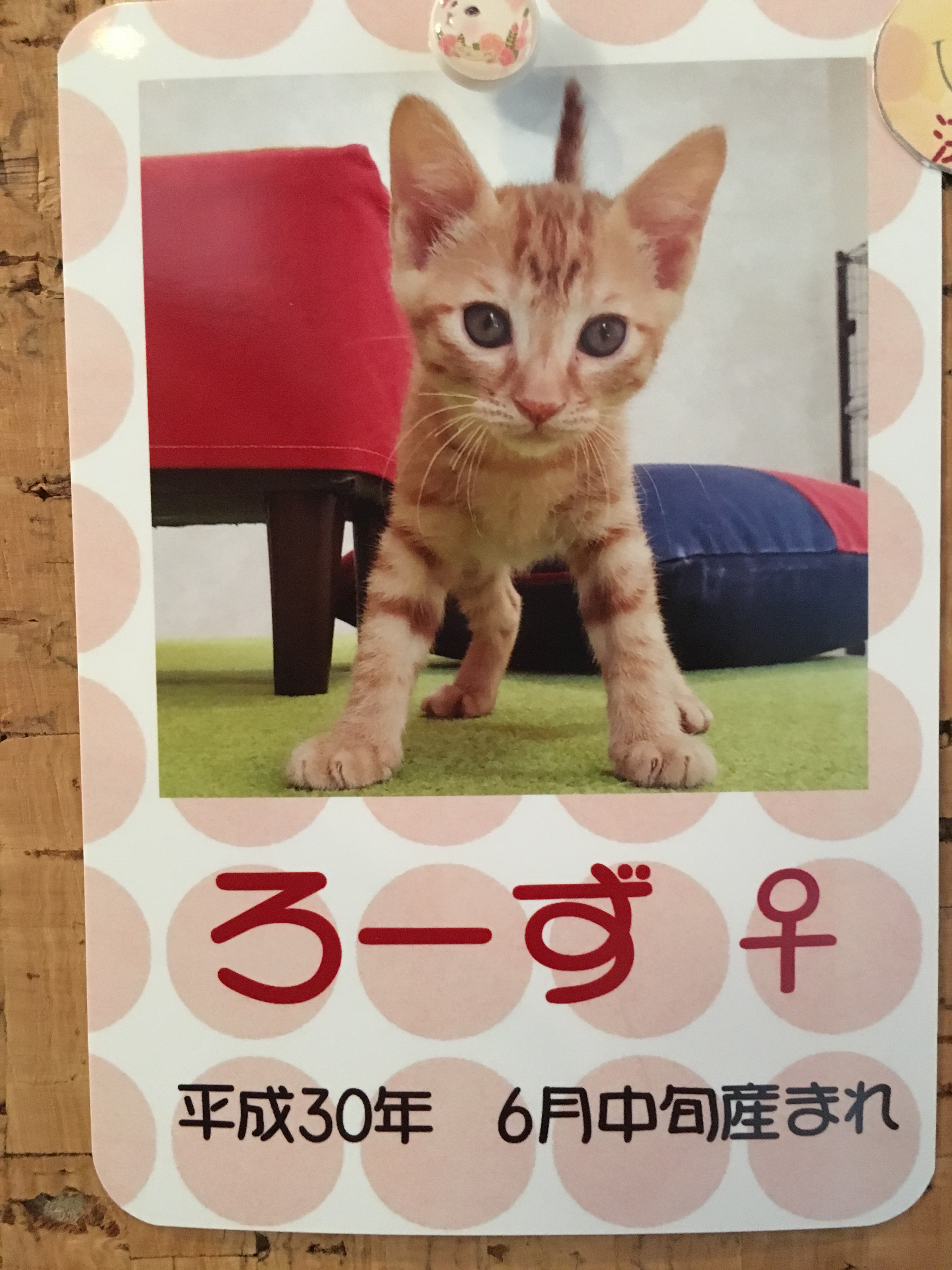 ろーず