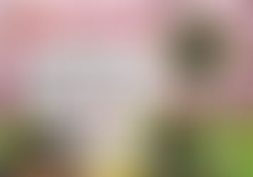 3月のお休みです💤