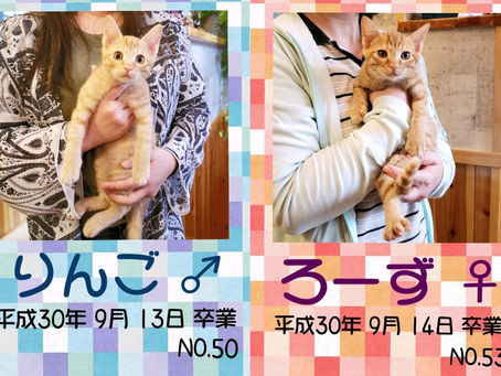 りんご・ろーず 卒業です!