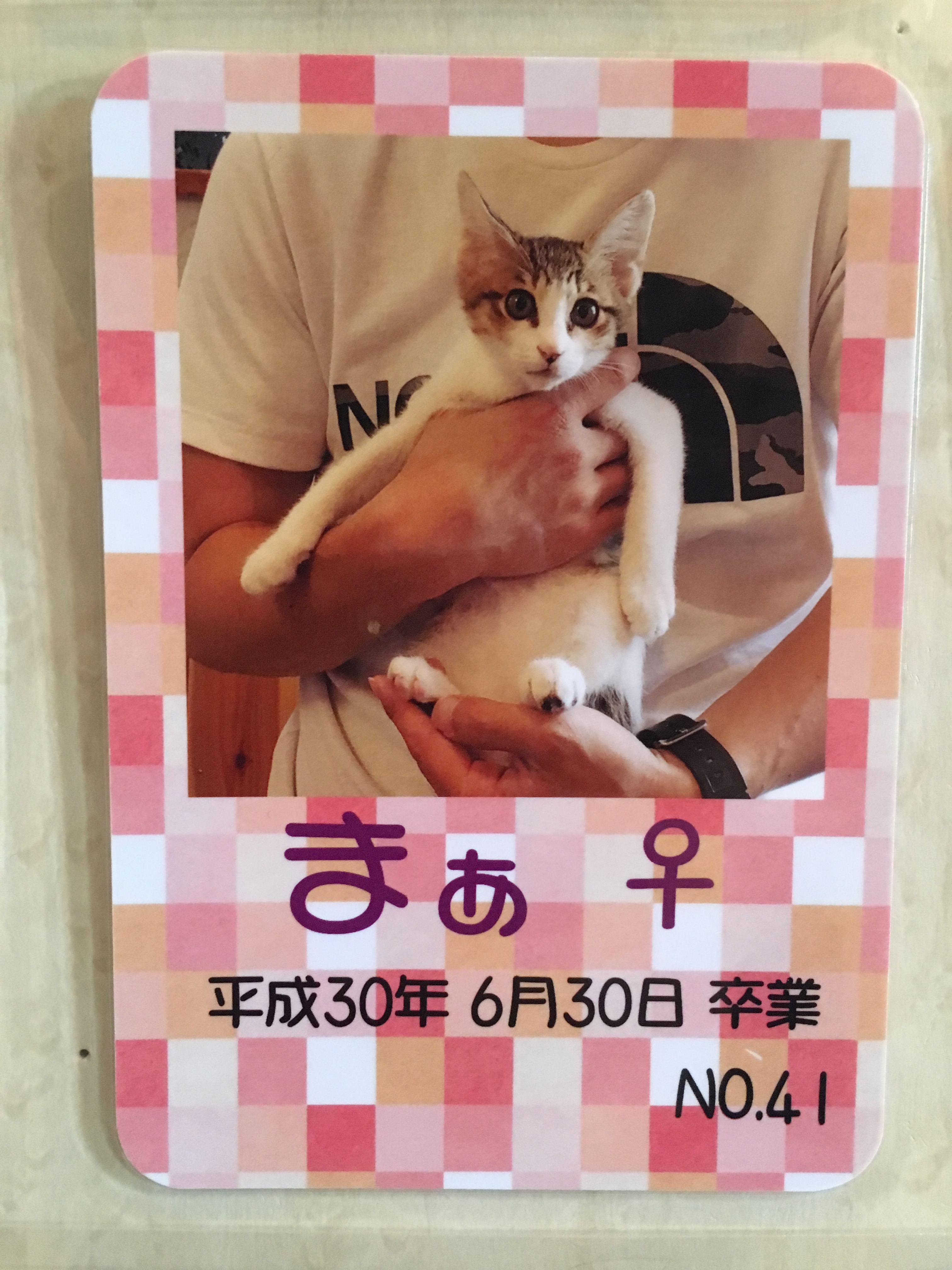 まぁ