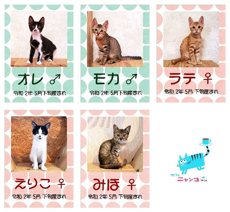 26日(水)から募集開始です☺️