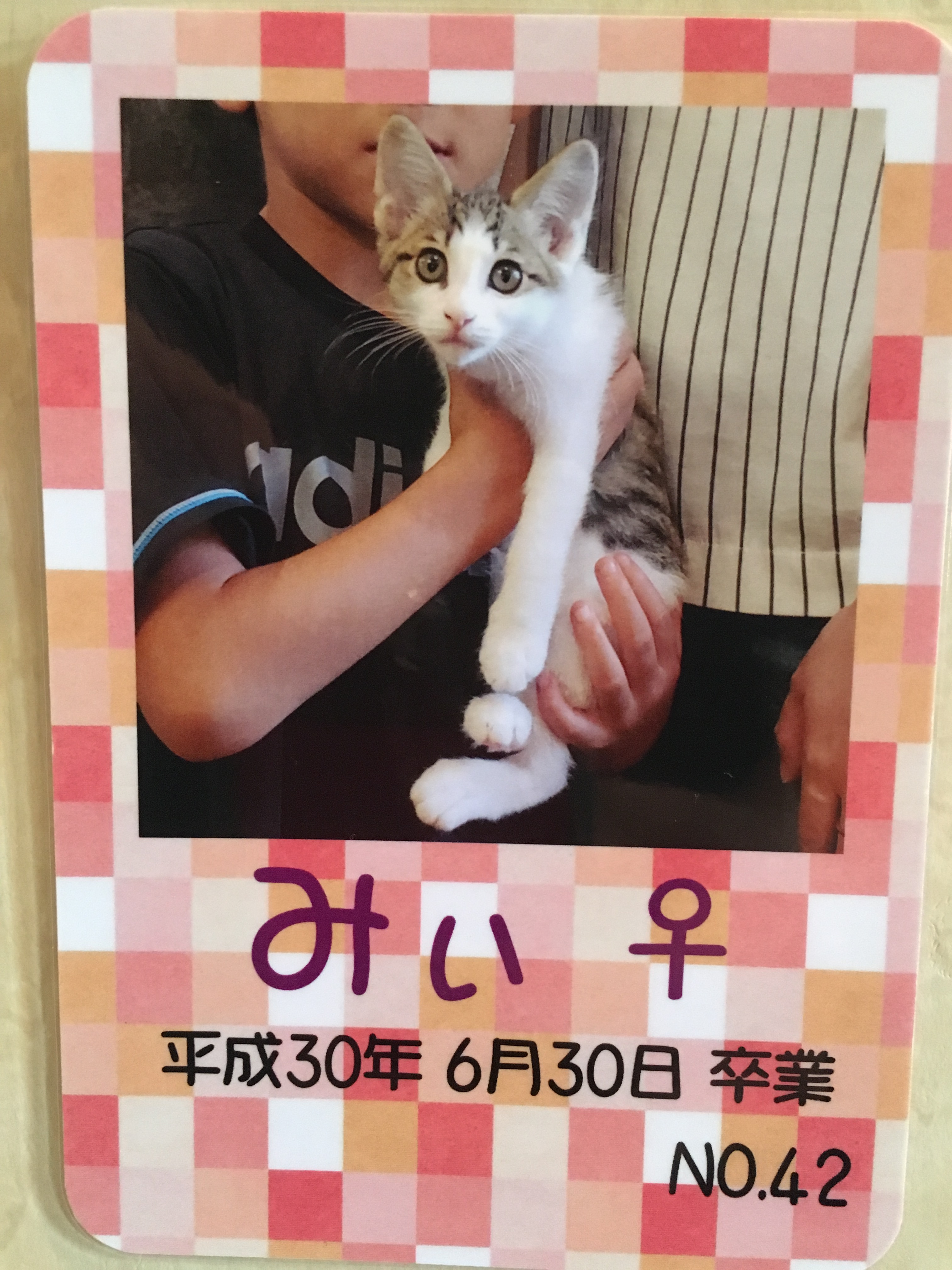 みぃ