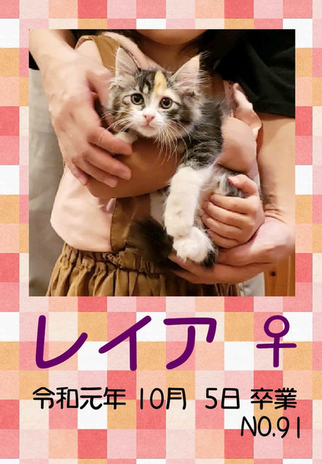 レイア 卒業です!