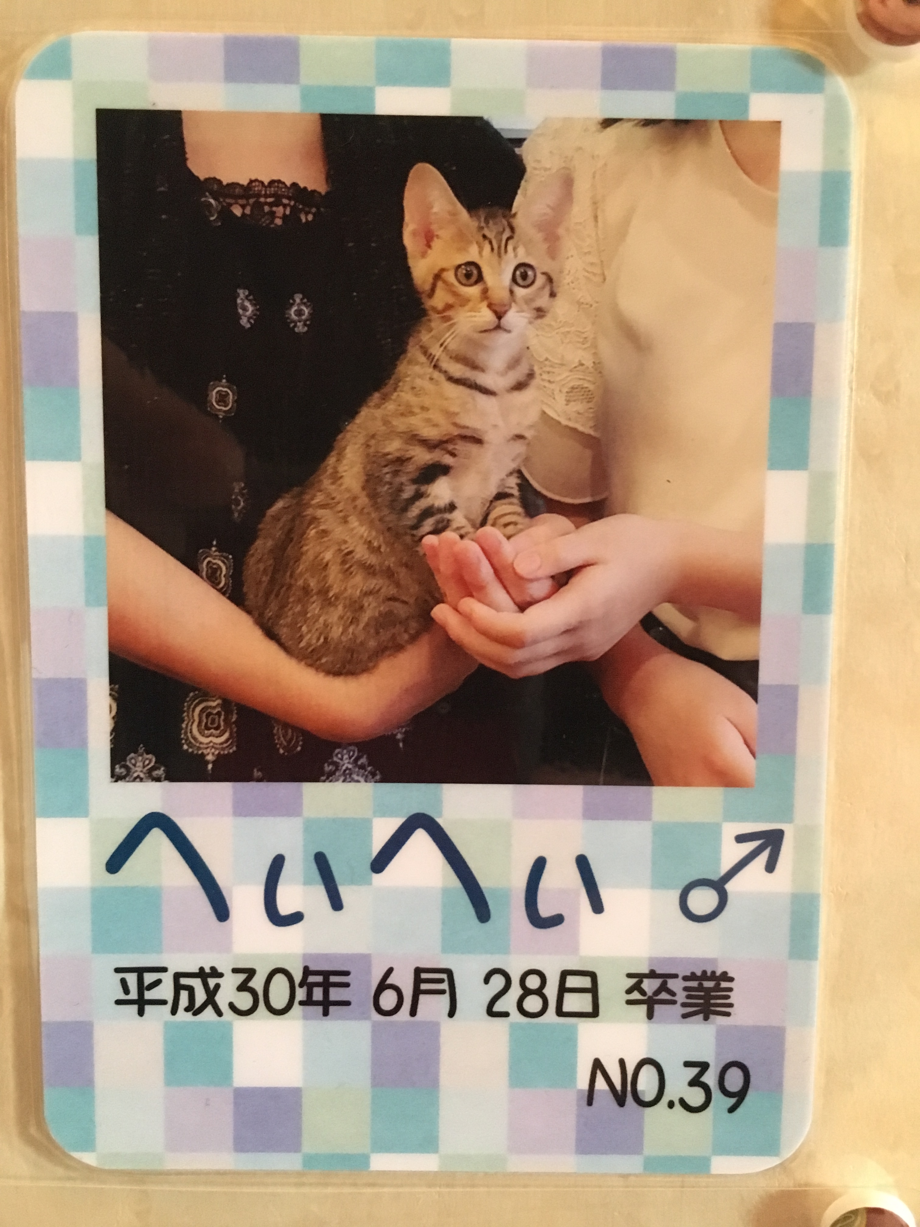 へいへい