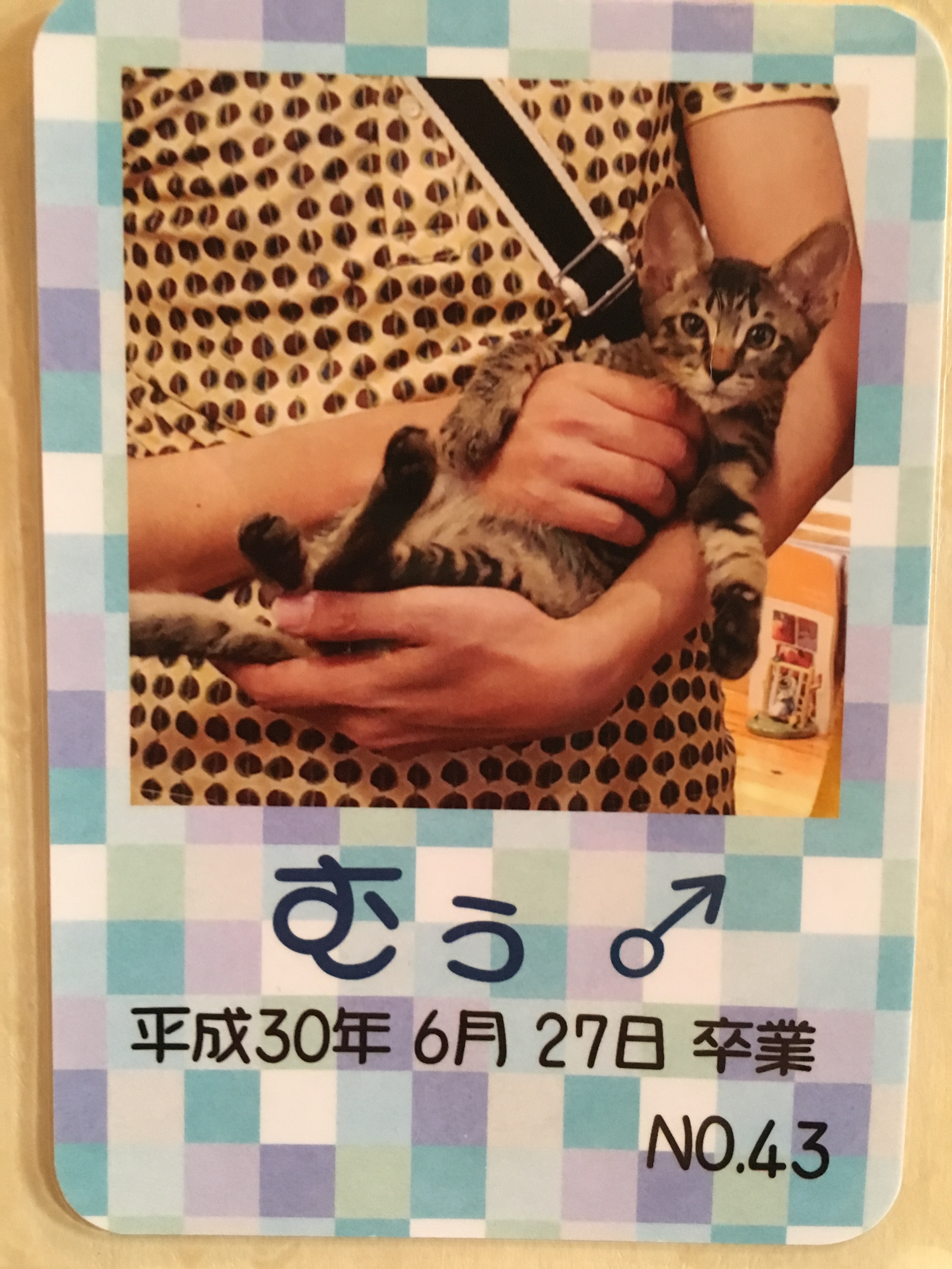 むぅ