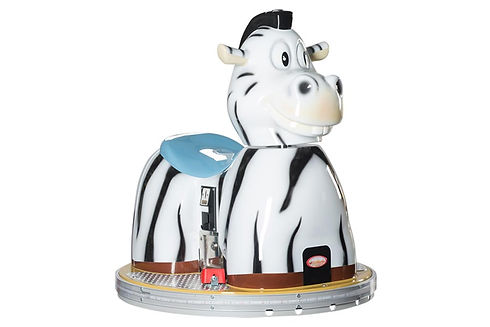 B.ANIMAL-ZEBRA.jpg