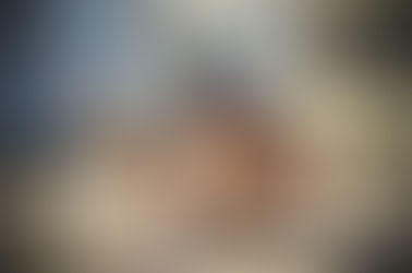 Is Using Obedience Training Effective In Dealing With Behavioral Problems?