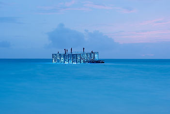 Sirri Fen Fushi Coralarium Underwater Sculpture Gallery
