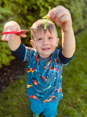 Trimming the trees at Bloom Learning Center