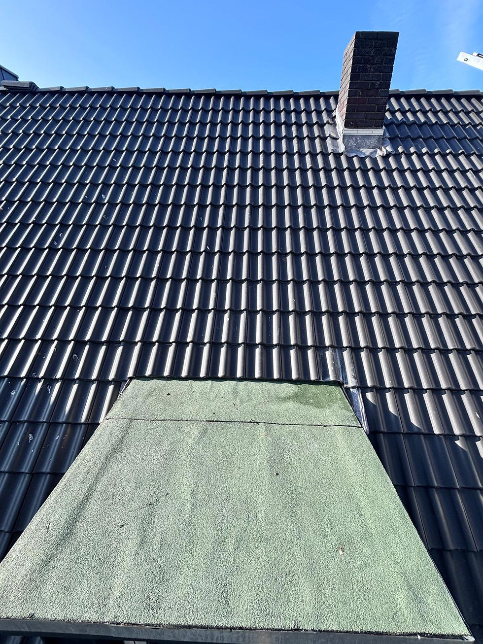 PHOTO-2026-02-16-18-15-01 7.jpg