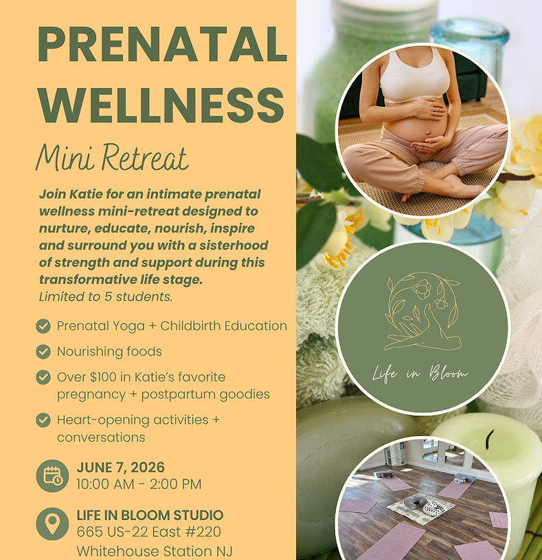 new prenatal mini retreat.png