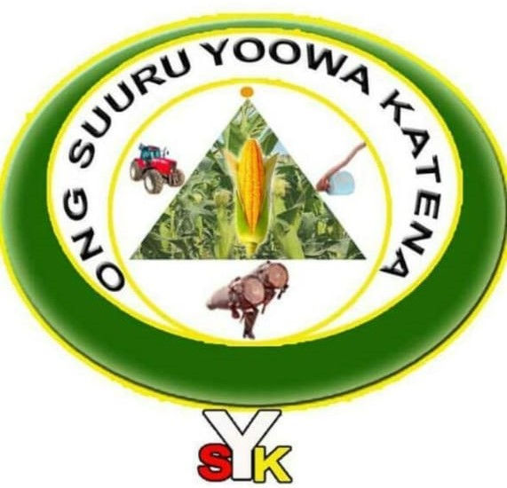 Logo SYK