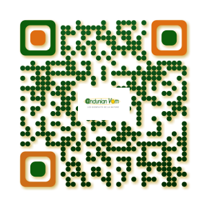 QRCODE DSD AndunnianVom