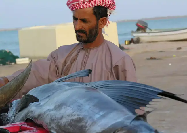 265616-ras-al-jinz-oman.webp