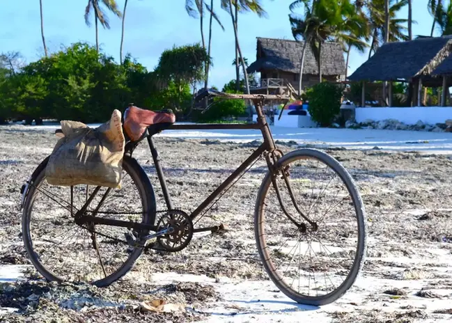 482713-fishermans-land-transport-zanzibar.webp