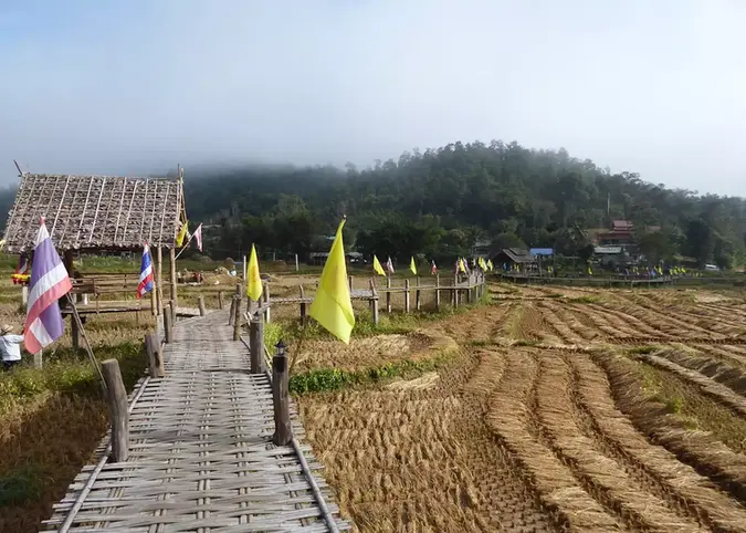 1316654-ko-ku-so-bamboo-bridge-pai.webp