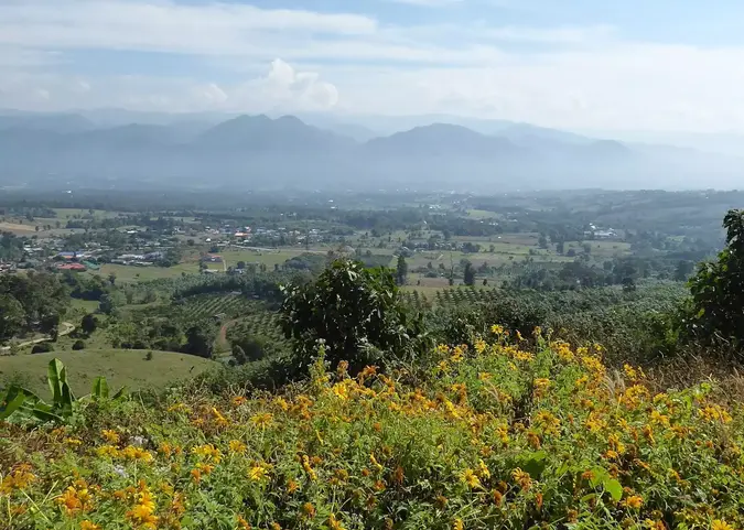 1316653-pai-valley.webp