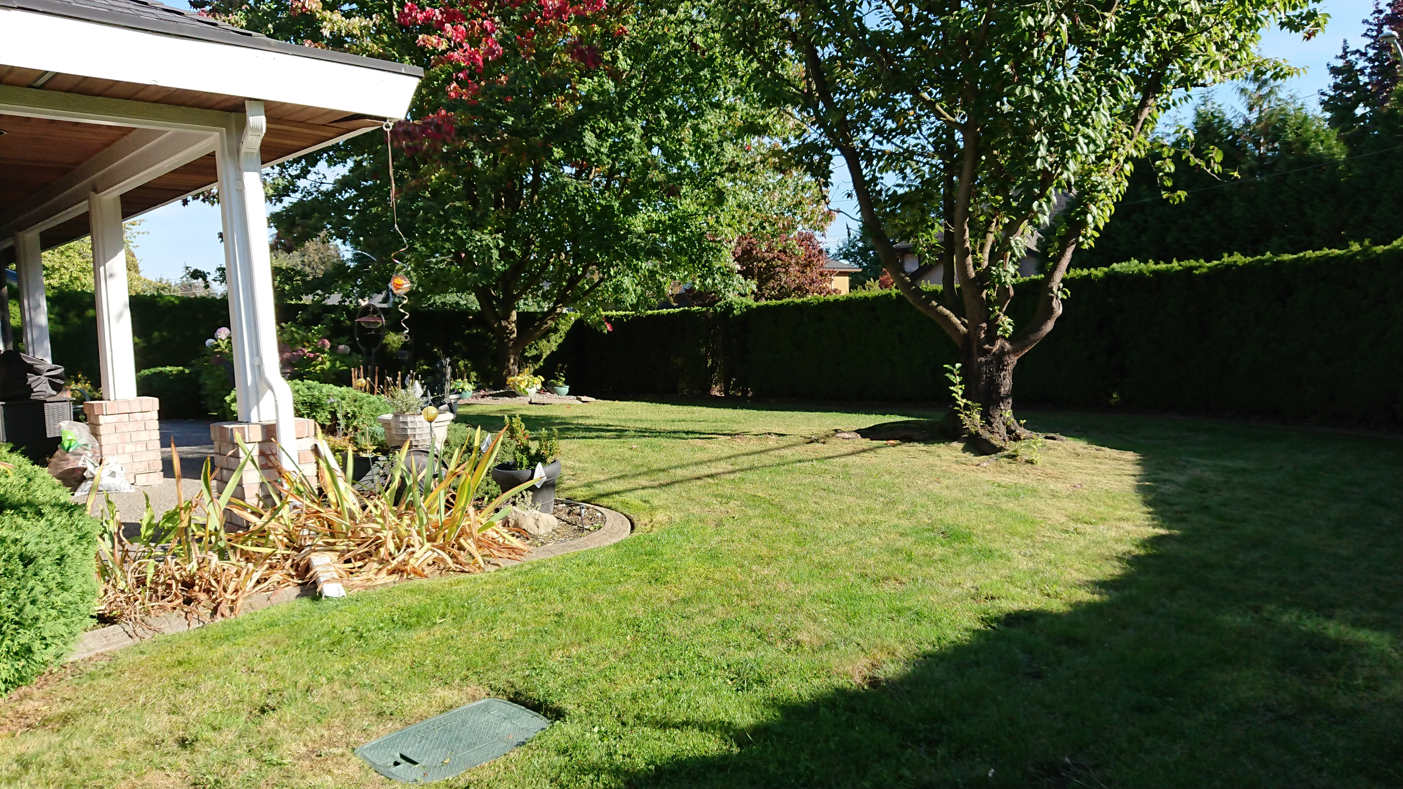 enlosed-front-yard.webp